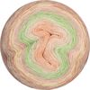 Fil Rico Design Creative « Cotton Dégradé Lucky8 » Couleur 003