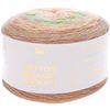Fil Rico Design Creative « Cotton Dégradé Lucky8 » Couleur 003
