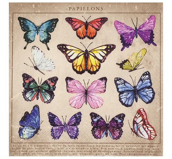 Serviette « Collection de papillons »
