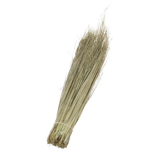 Fleurs séchées « Strip Grass », env. 200 g, env. L 50 cm