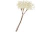 Bouquet de baies « Beryl »
