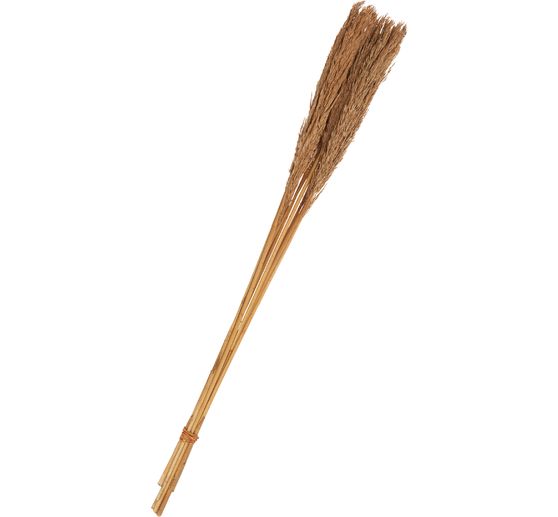 Dried flowers "Sanmuga Grass", L approx. 80 cm