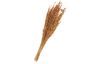 Dried flowers "Oat Grass", L approx. 75 cm