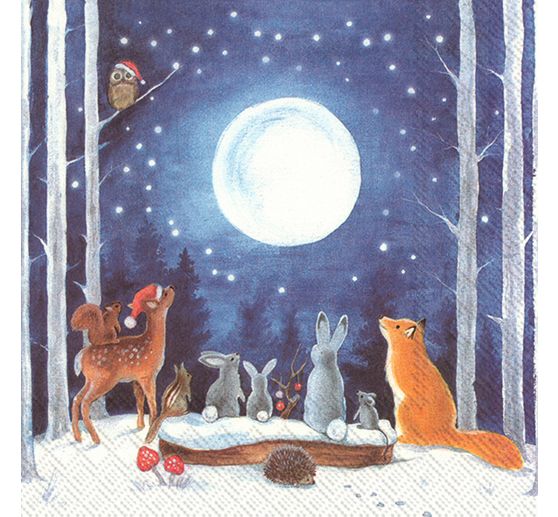 Serviette « Pleine lune magique »