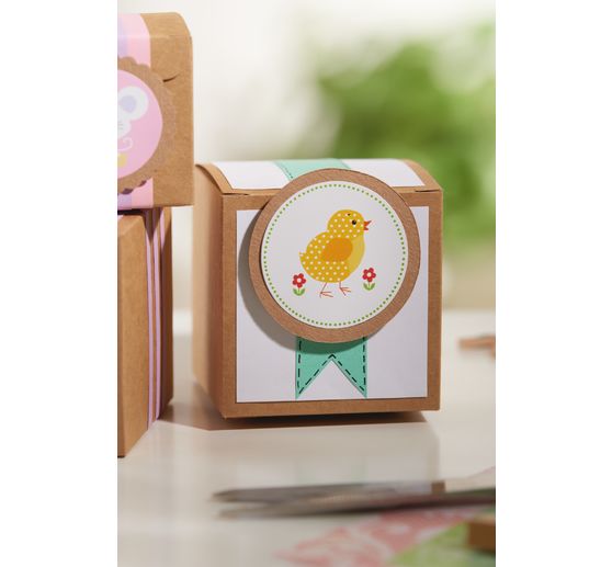 VBS kraft paper box