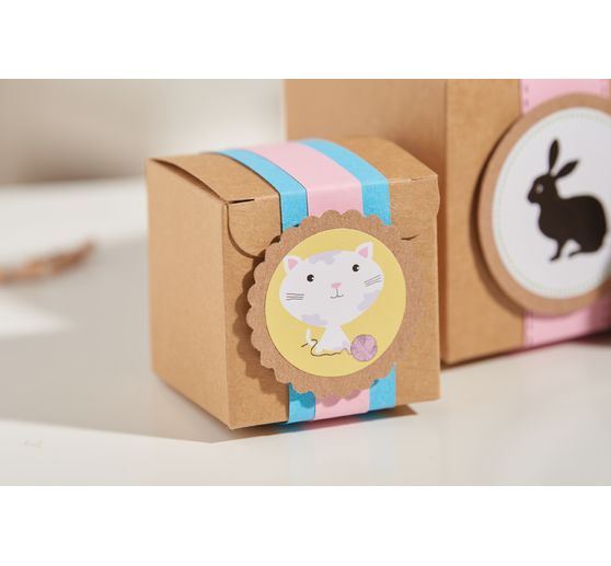 VBS kraft paper box
