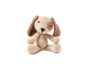 Livre Rico « Ricorumi Puppies - 9 personnages amigurumis »
