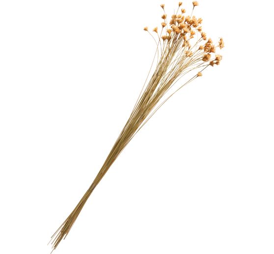 Hillflower
