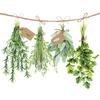 Napkin "Fresh herbs"