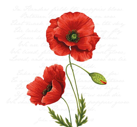 Serviette « Coquelicot lumineux »