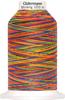 Fil à coudre Gütermann Miniking Multicolor, N° 120