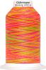Fil à coudre Gütermann Miniking Multicolor, N° 120