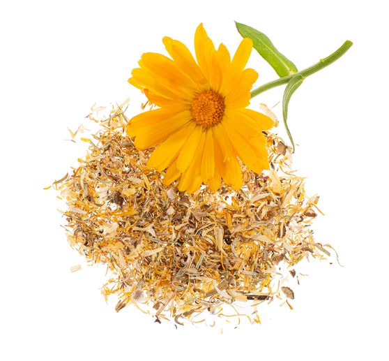Fleurs, séchées