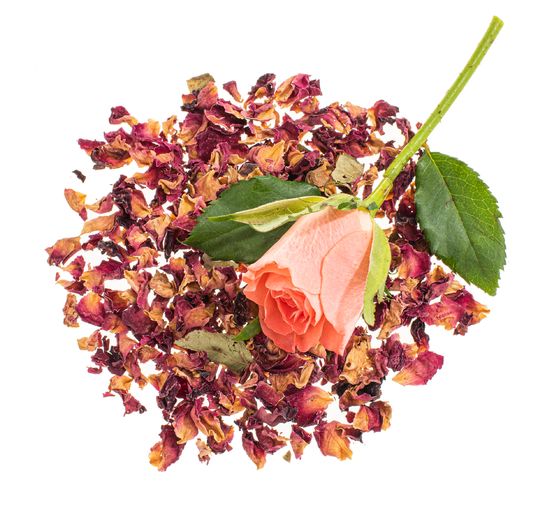 Fleurs, séchées
