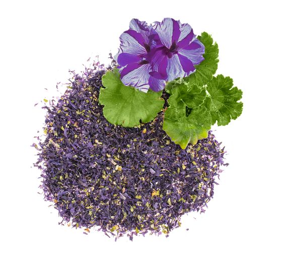 Fleurs, séchées