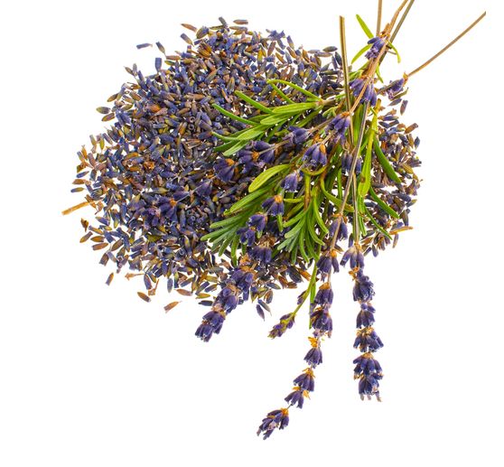 Fleurs, séchées