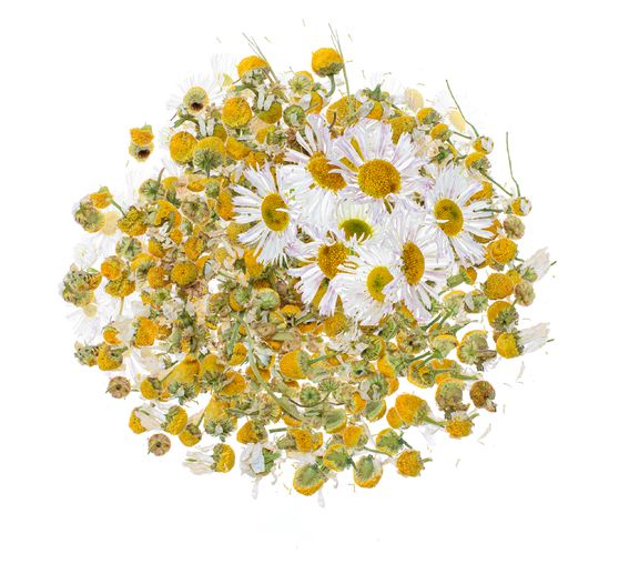 Fleurs, séchées