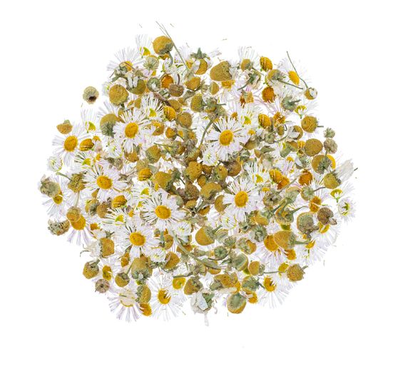 Fleurs, séchées