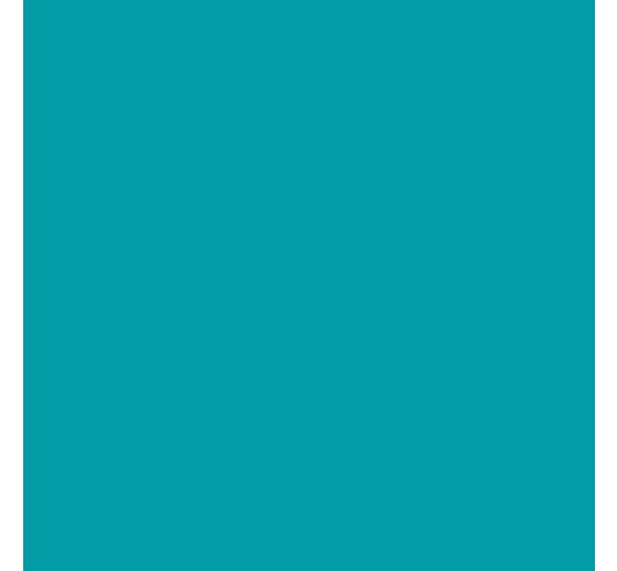 Film vinyle autocollant Cricut « Smart Vinyl - Amovible », 33 x 90 cm