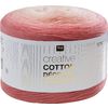 Fil Rico Design Creative « Cotton Dégradé Lucky8 » Couleur 015