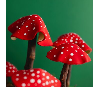 pilze modellieren