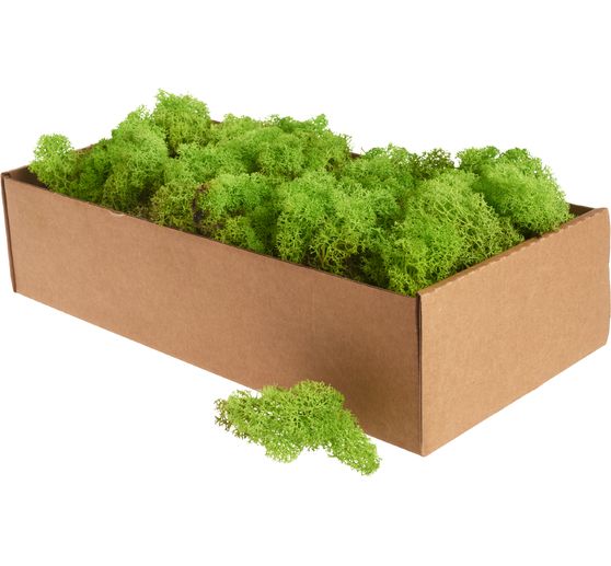 Lichen d'Islande, 400 g
