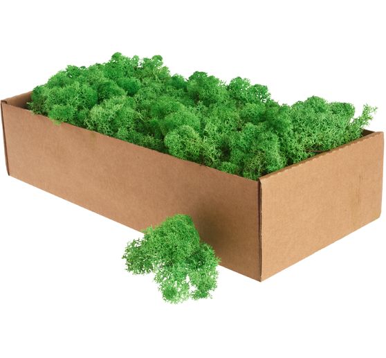 Lichen d'Islande, 400 g