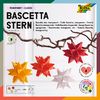 Kit étoile Bascetta « Transparent » Classic