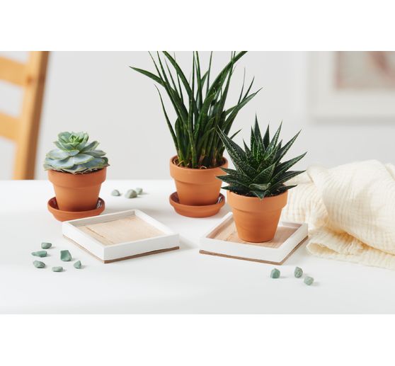 Petites lamelles en bois VBS