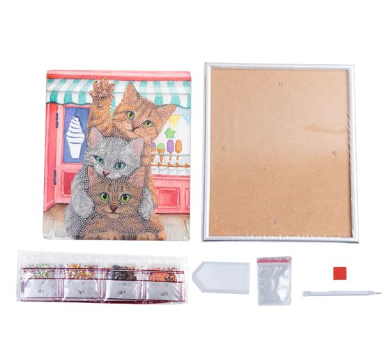 Diamond Painting « Picture Frame Crystal Art »