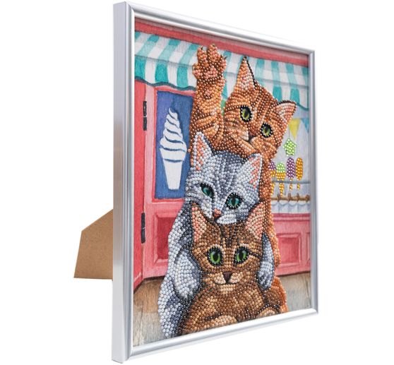 Diamond Painting « Picture Frame Crystal Art »