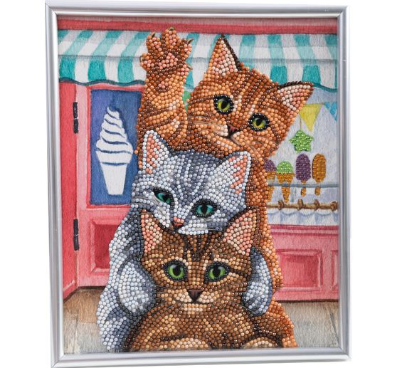 Diamond Painting « Picture Frame Crystal Art »