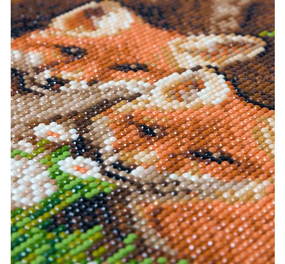 Diamond Painting « Crystal Art Kit »