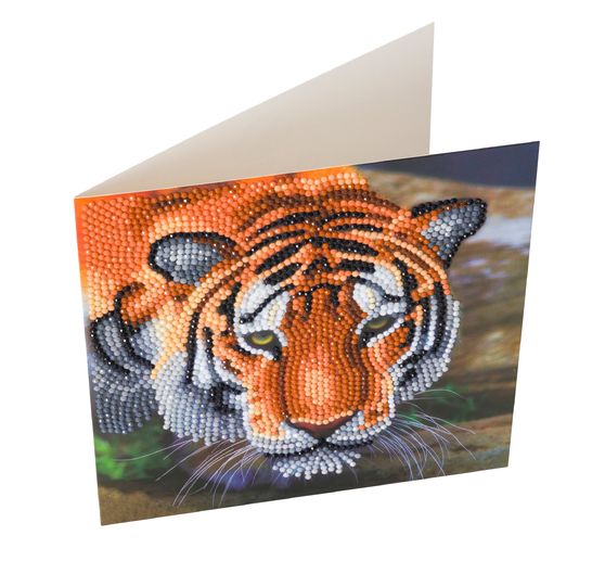 Diamond Painting « Crystal Art Card »