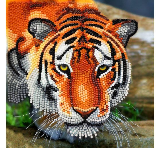 Diamond Painting « Crystal Art Card »