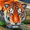 Diamond Painting « Crystal Art Card » Tiger