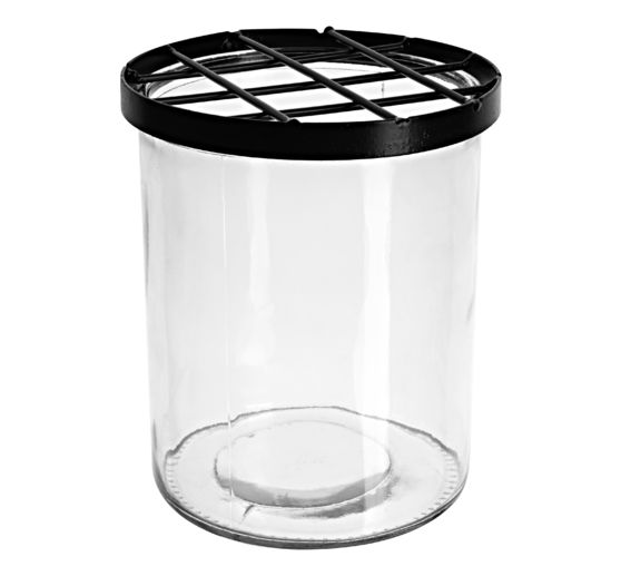 Glass vase with plug grid