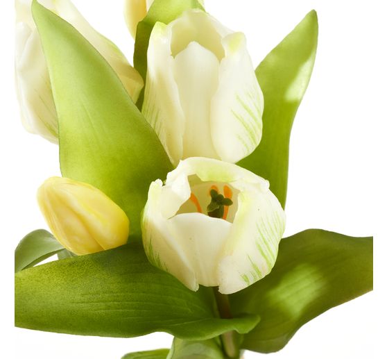 Bouquet de tulipes 3 fleurs et 2 bourgeons