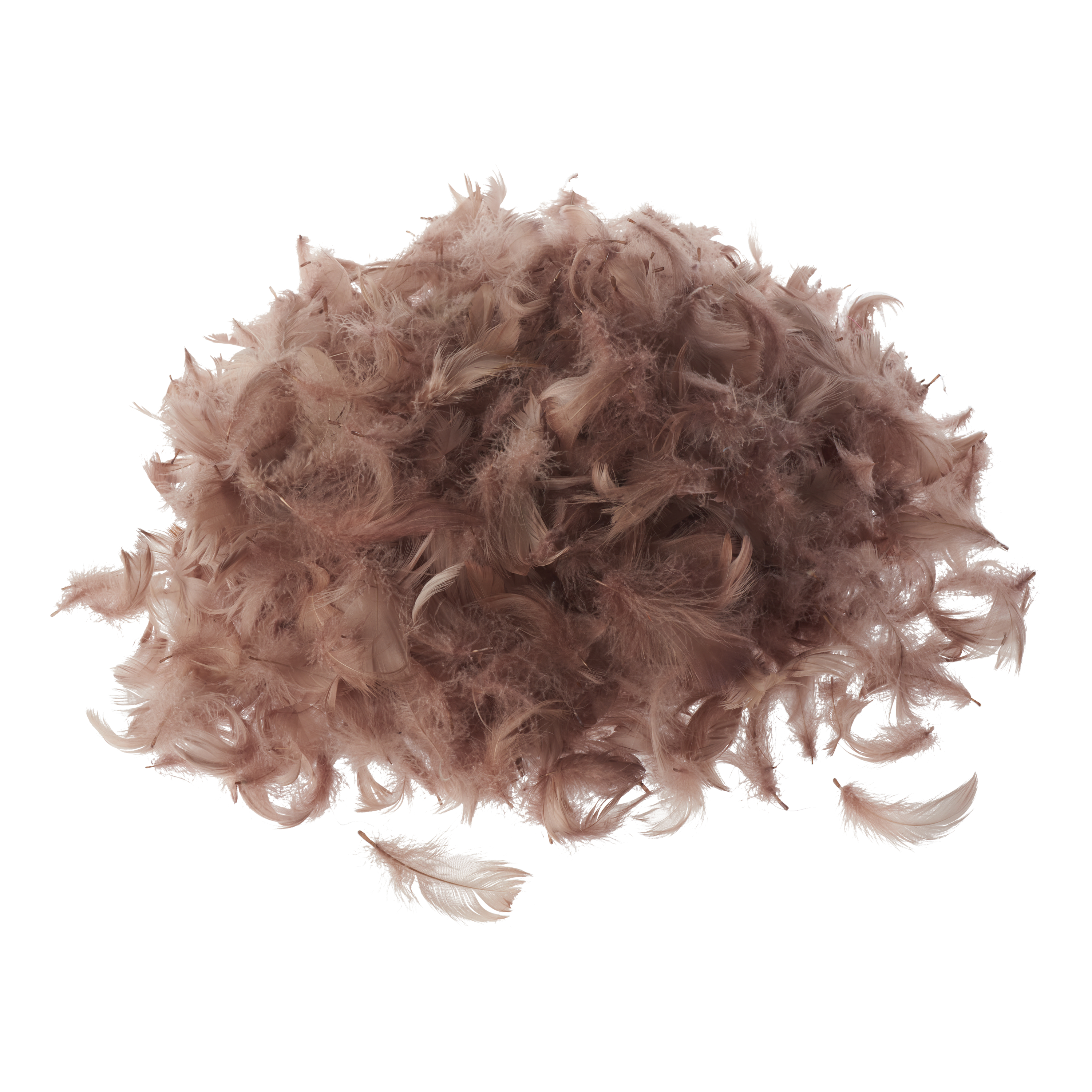 Plumes D'oie Coloris Automne - Sachet De 15 G - Assortiment De Couleurs Pour Décoration, Créations Manuelles