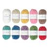 Laines Rico Design Ricorumi « Nilli Nilli », set de 10 Rainbow