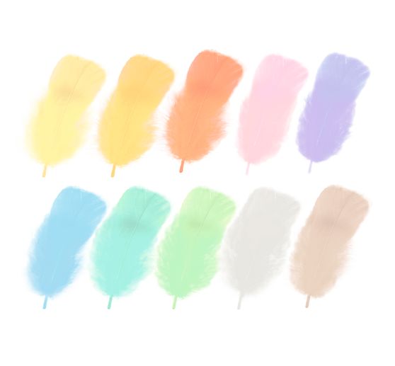 Plumes duveteuses, 100 g