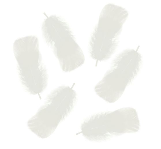 Plumes duveteuses, 100 g