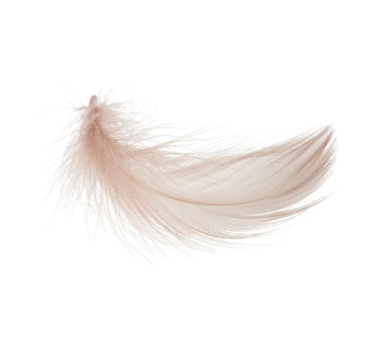 Plumes d'oie