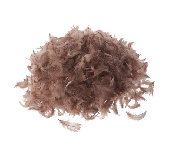 Plumes d'oie