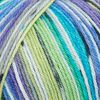 Laine Rico Design « Superba Bamboo » Couleur 060