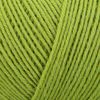 Regia my favorite sockyarn Colour 00070