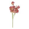 Succulent branch Red