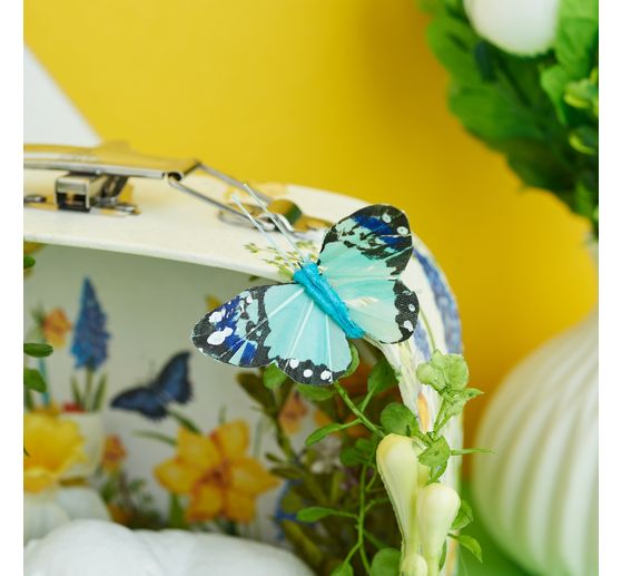 Papillons &laquo; Brasil &raquo;