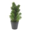 Sapin en pot « Rory », env. H 32 cm