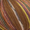Laine pour chaussettes ONline « Supersocke Merino Color, assortiment 368 » Couleur 3049